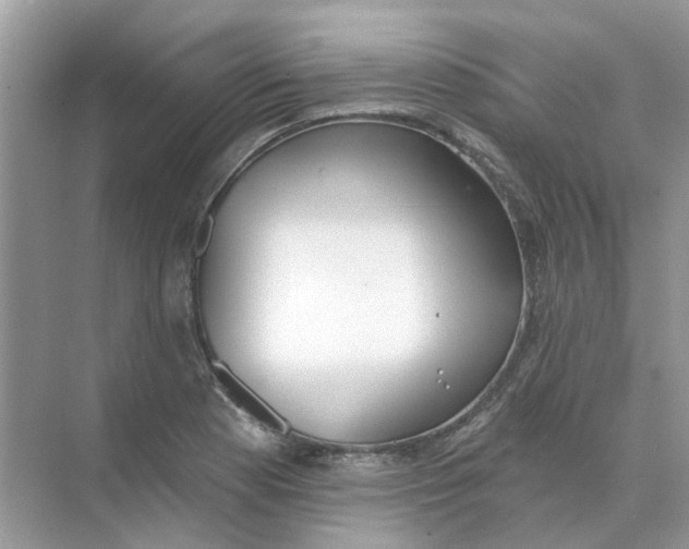 X0000073871177200608312045