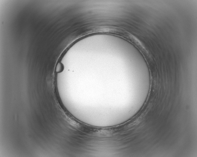 X0000073871178200608312045