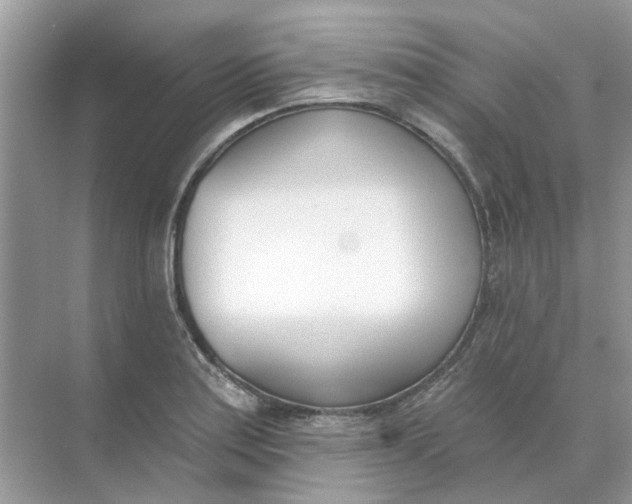 X0000073871179200608312045