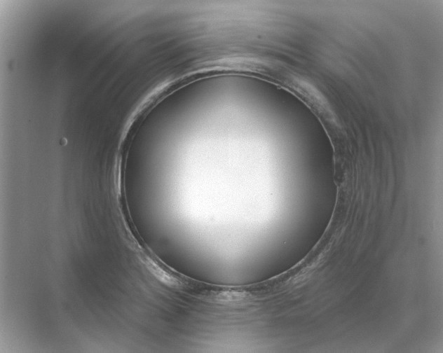 X0000073871180200608312045