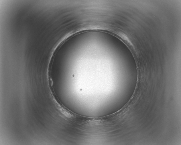 X0000073871181200608312045