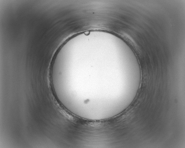 X0000073871182200608312045