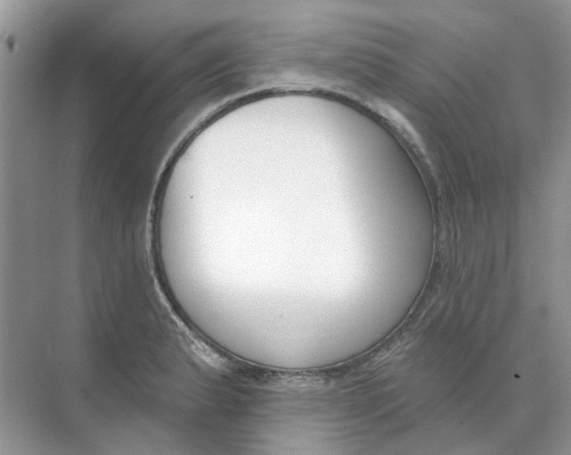 X0000073871183200608312045