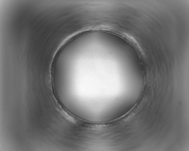 X0000073871184200608312045