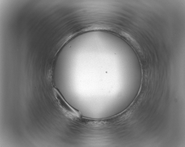 X0000073871185200608312045