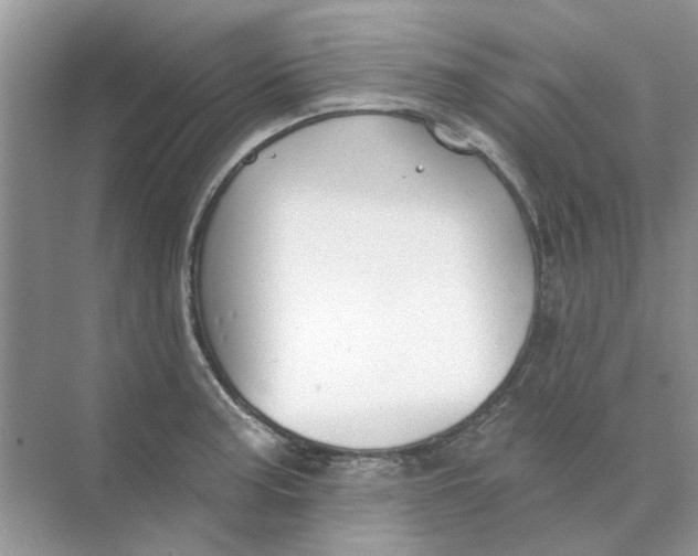 X0000073871187200608312044