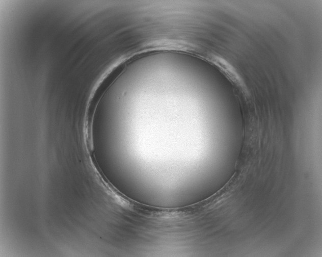 X0000073871188200608312044