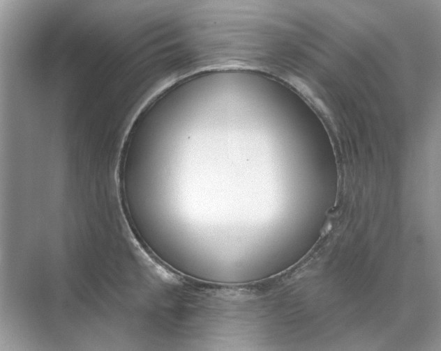 X0000073871189200608312044