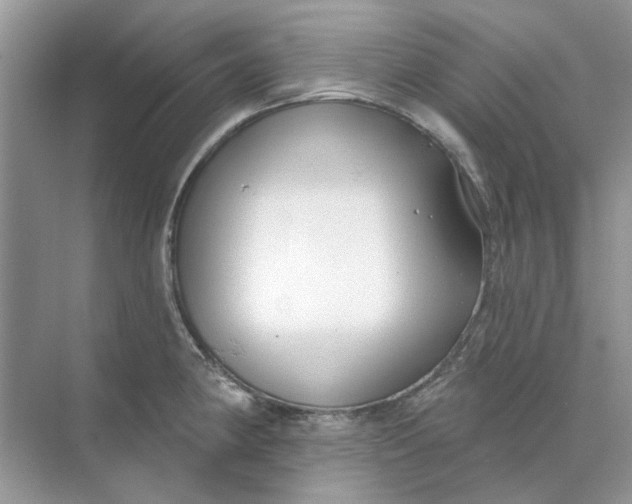 X0000073871190200608312044