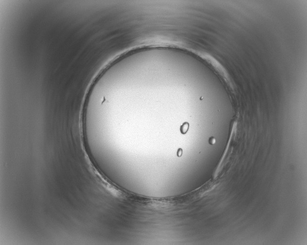 X0000073871191200608312044