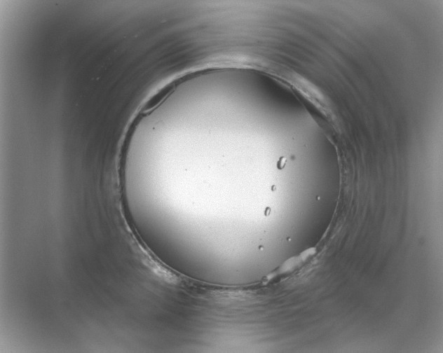 X0000073871192200608312044