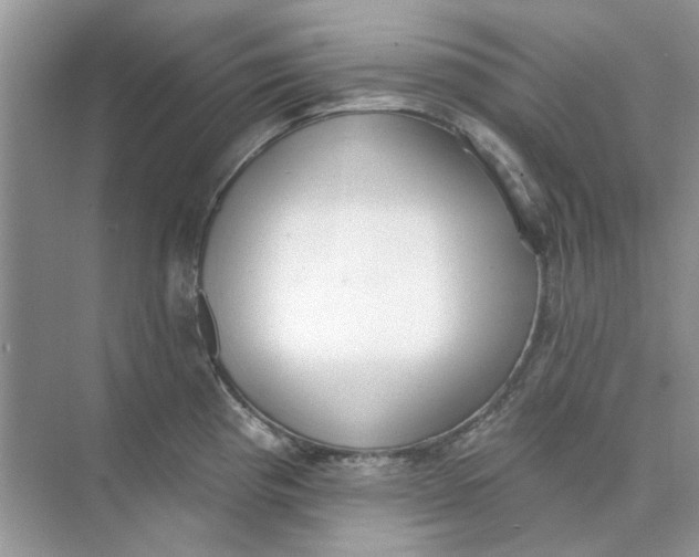 X0000073871193200608312044