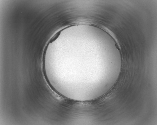 X0000073871195200608312044