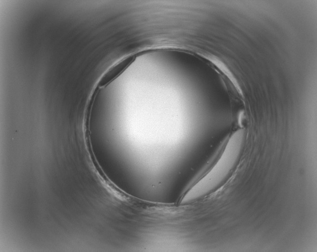 X0000073871197200608312044