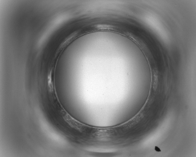 X0000073871198200608312044