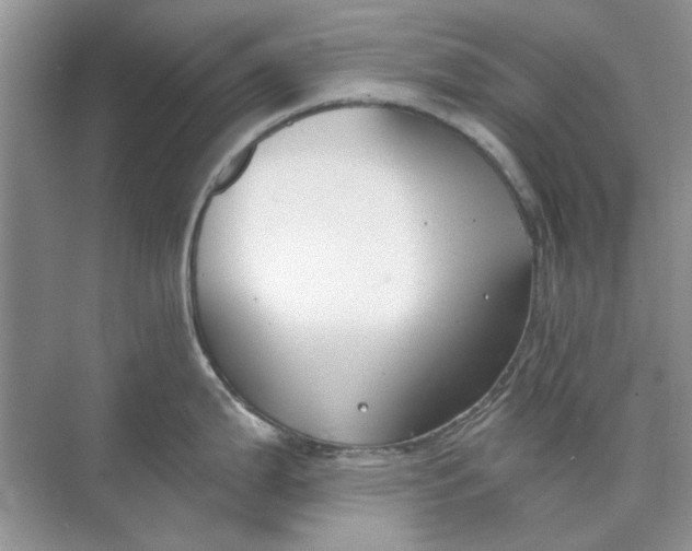 X0000073871199200608312044