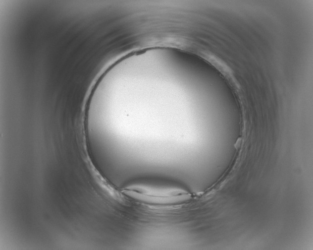 X0000073871200200608312044