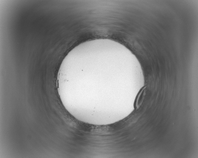 X0000073871201200608312043