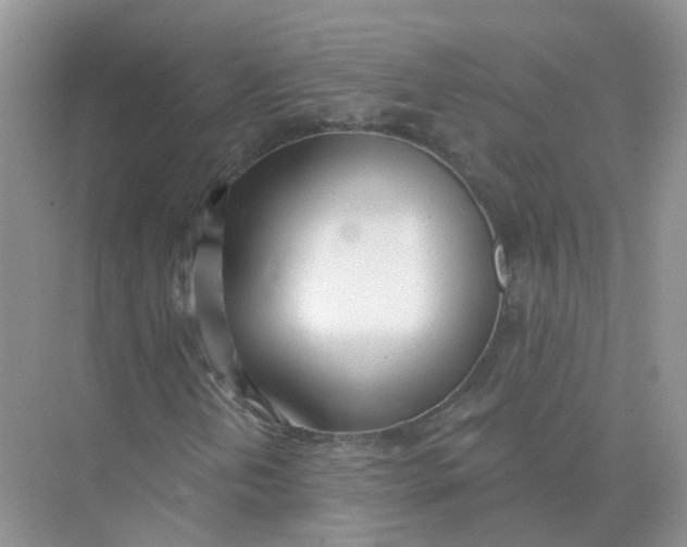 X0000073871202200608312043