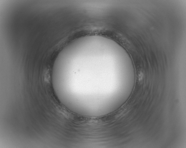 X0000073871204200608312043