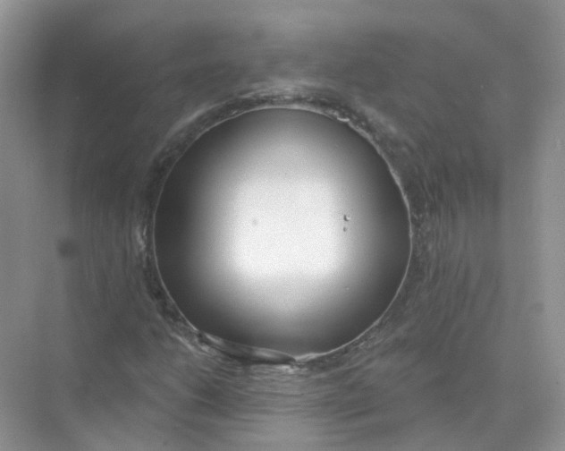 X0000073871206200608312044