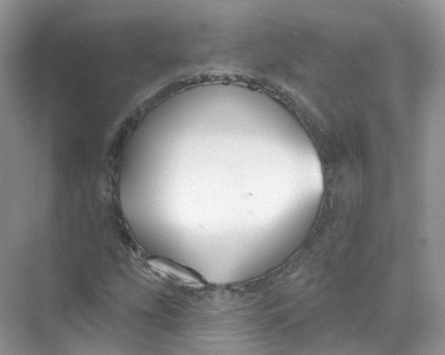 X0000073871207200608312044