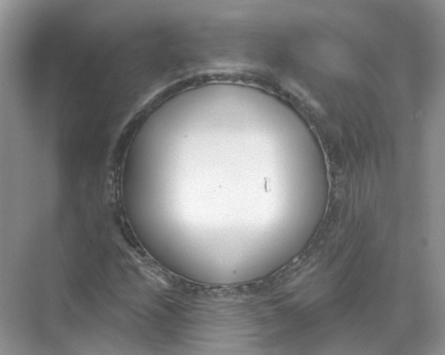 X0000073871208200608312044