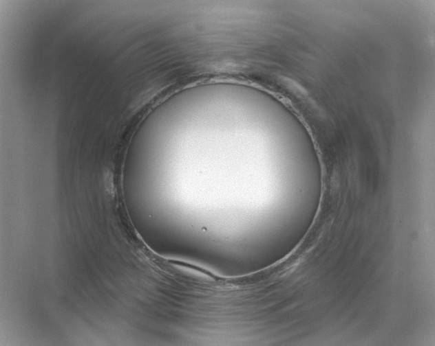 X0000073871209200608312044