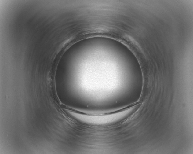 X0000073871210200608312044