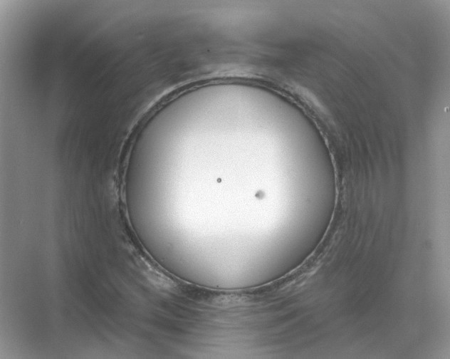 X0000073871212200608312044