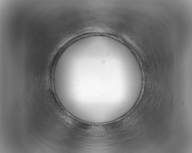 X0000073871215200608312044