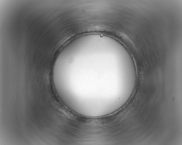 X0000073871217200608312044