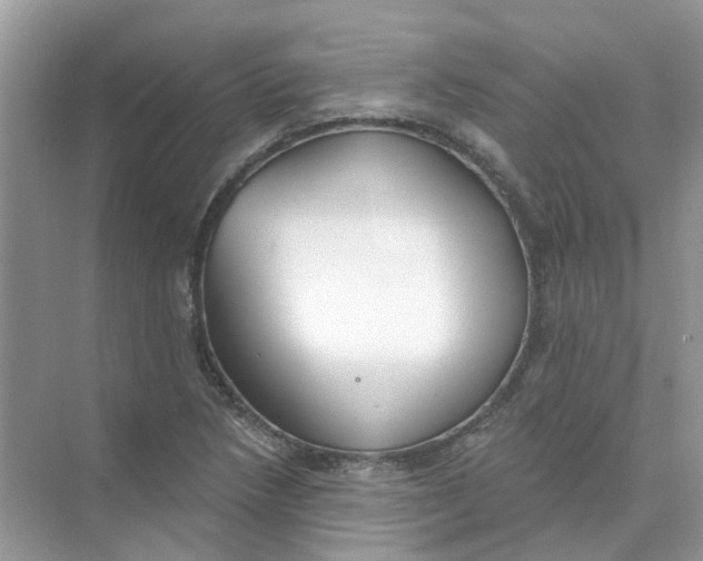 X0000073871218200608312044