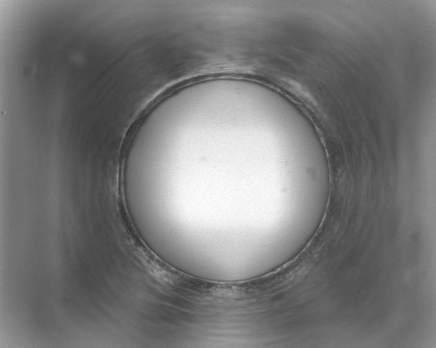 X0000073871220200608312044