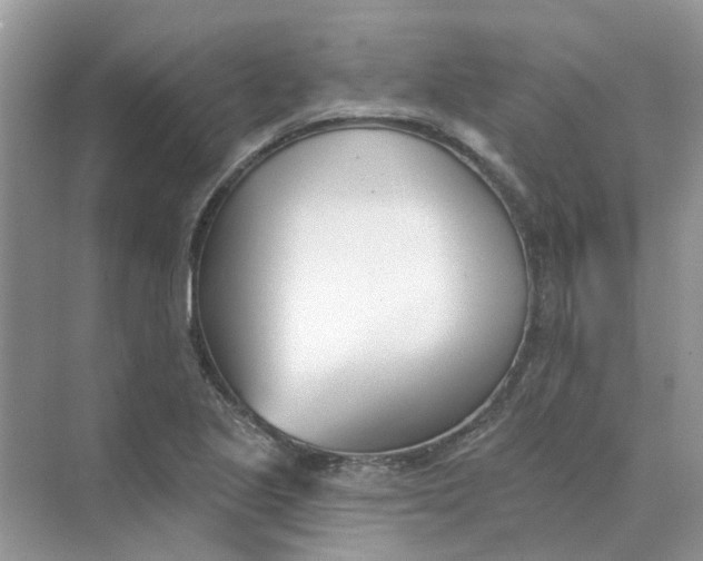 X0000073871221200608312044