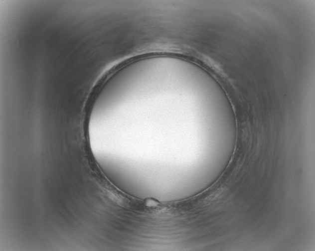 X0000073871222200608312044