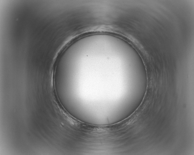 X0000073871224200608312044