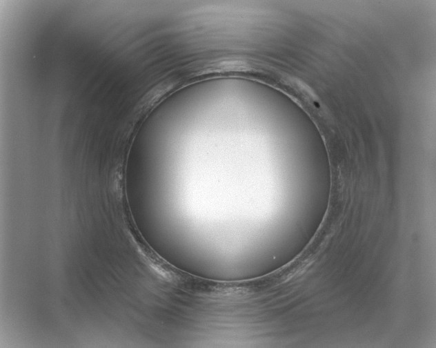 X0000073871225200608312044