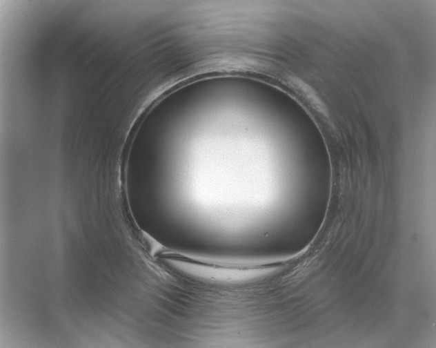 X0000073871226200608312044