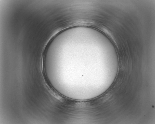 X0000073871227200608312044