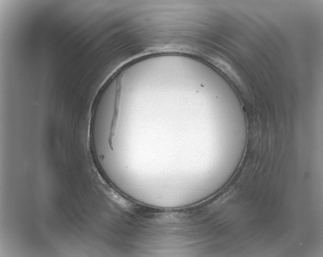 X0000073871228200608312044