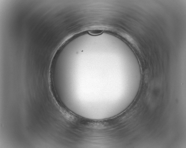 X0000073871229200608312044