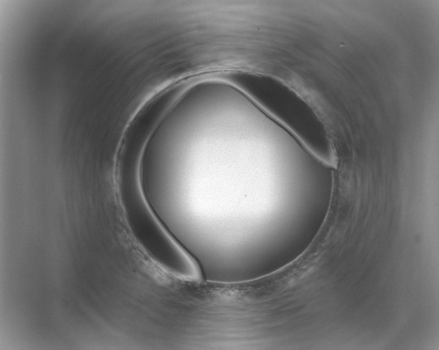 X0000073871230200608312044