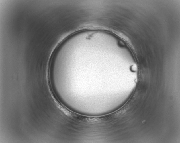 X0000073871231200608312044