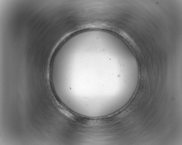 X0000073871232200608312044