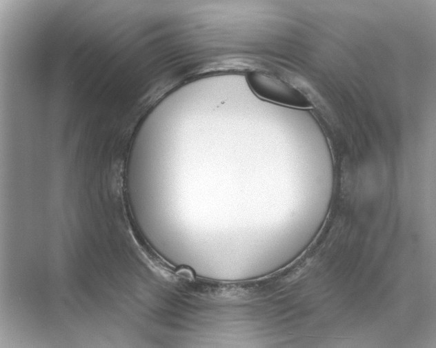 X0000073871233200608312044