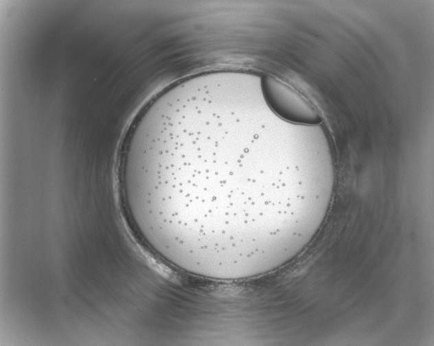 X0000073871235200608312044