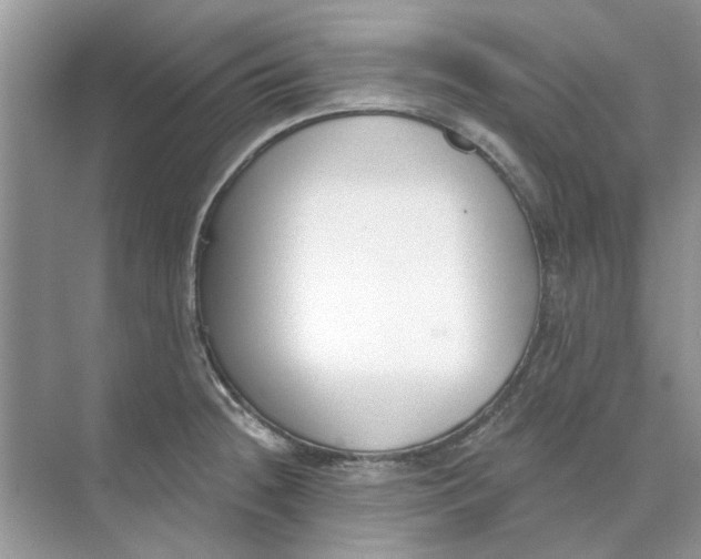 X0000073871236200608312044