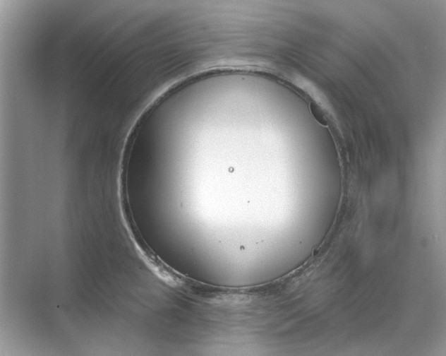 X0000073871237200608312044