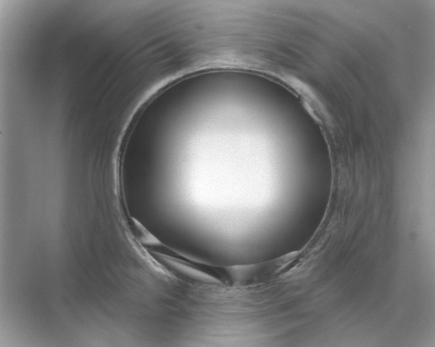 X0000073871238200608312044